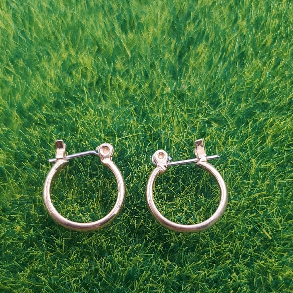 Dainty And Cute Gold Tone Hoop Earrings E1030